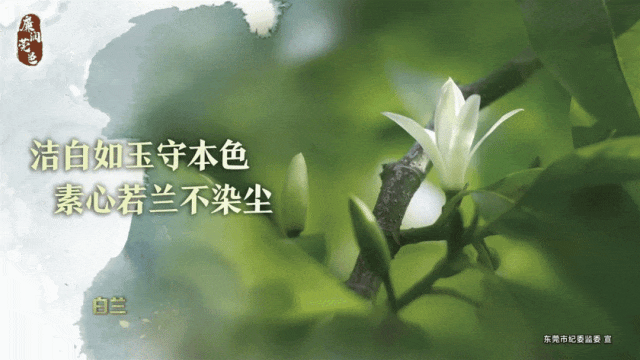 如何通过激励帮助篮球运动员突破瓶颈_1